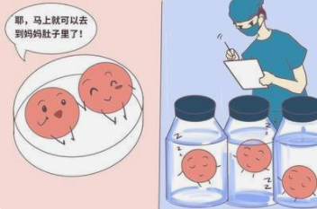 广州供卵机构哪家正规，广州试管供卵的成功率